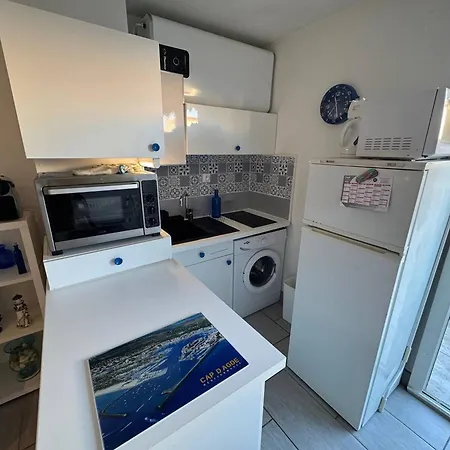 Апартаменти T2 Avec Parking Et Animaux Admis, Capacite 4, Cap D'agde - Fr-1-749-83 *